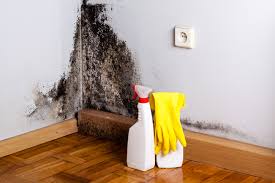 Biohazard Mold Removal in Queens Gate, PA